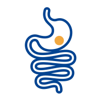 Illustration representing healthy digestion