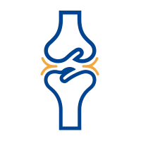 Illustration representing muscle mass and mobility support